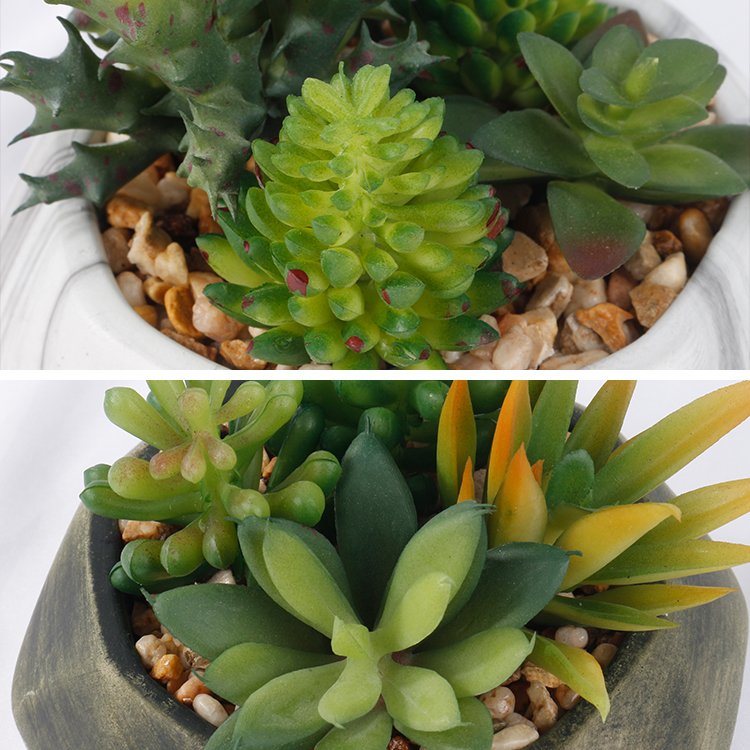 Potted-Succulent-Arrangement-Plants-Artificial-Succulents-Home-Decoration (4).jpg 